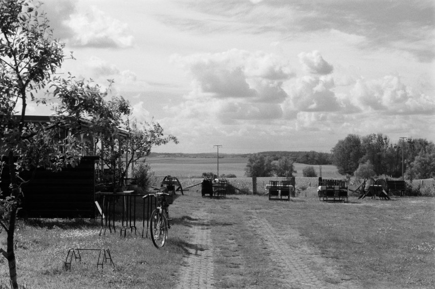 Das Öko-Café in Parmen