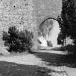 Woldegker Tor II