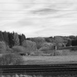 02_Winterbienen_P1020137_sw